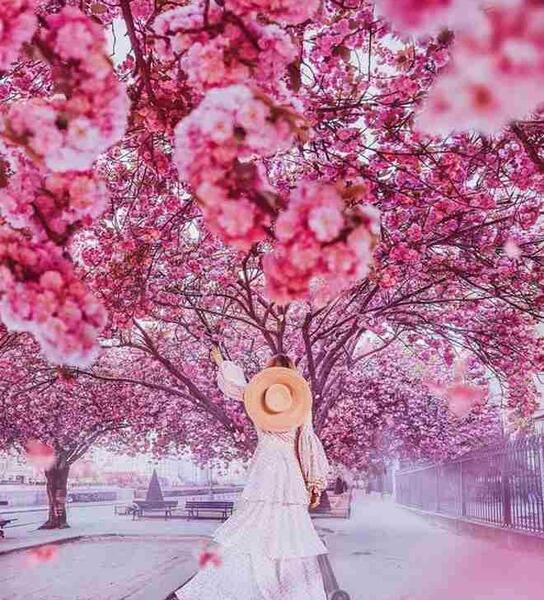 عکس نوشته بهار دخترانه