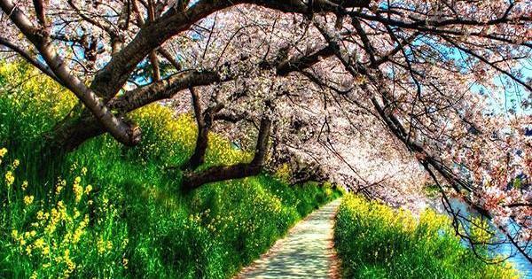عکس طبیعت فول اچ دی