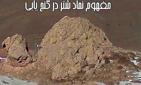 عکس شتر نشانه گنج