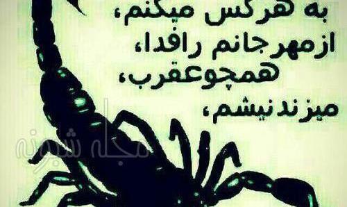 عکس نوشته واگذارت کردم به فاطمه زهرا
