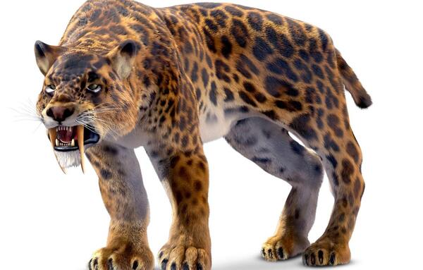 عکس حیوانات منقرض شده