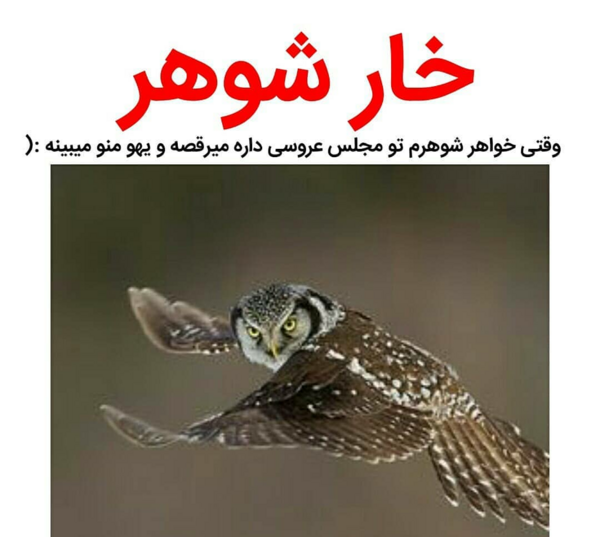 عکس طنز خواهر شوهر