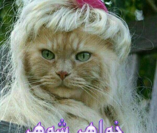عکس طنز خواهر شوهر