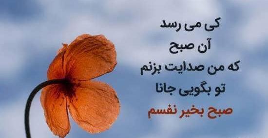 عکس سحر بخیر