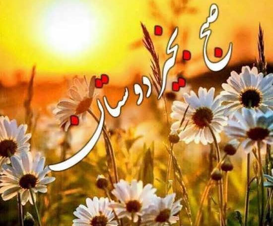 عکس سحر بخیر