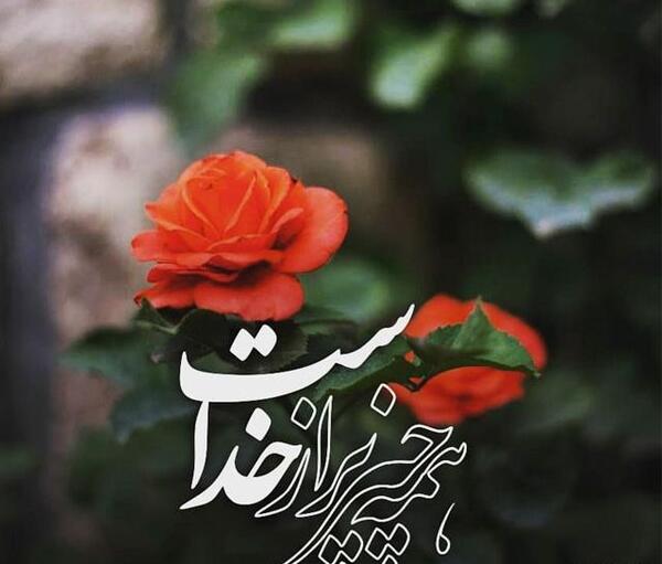 عکس زیبای ذکر