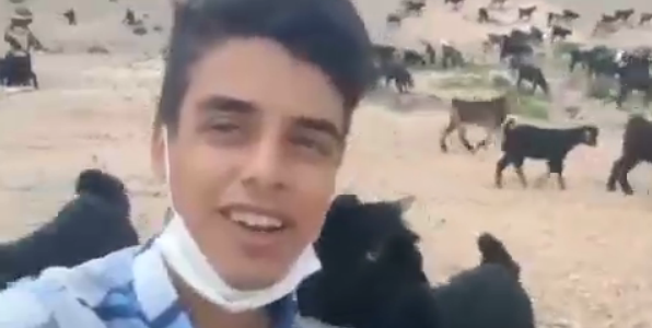 عکس چوپان زشت