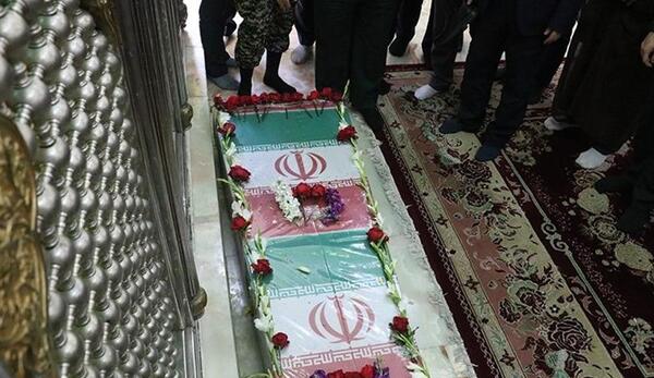 عکس شایان مرادی نسب