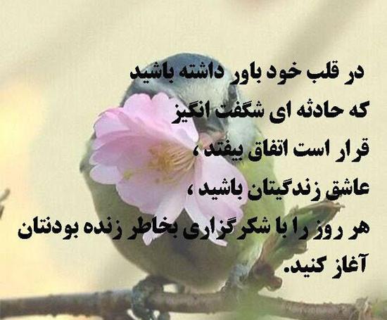 عکس نوشته علیرضا آزمندیان