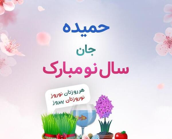 عکس حجت نوروزی