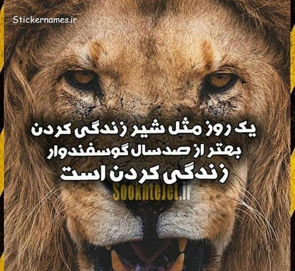 عکس پروفایل پسرانه شیر
