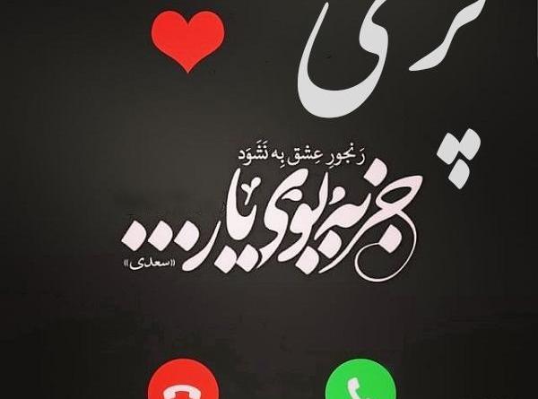 عکس لوگو پریا