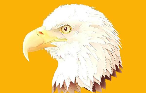 عکس عقاب برای فتوشاپ