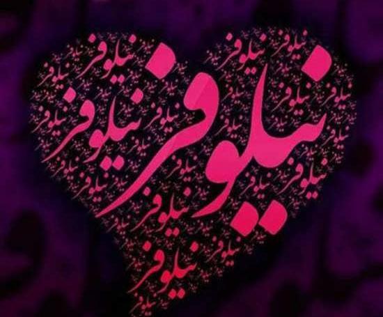 عکس نوشته نیلوفر جدید