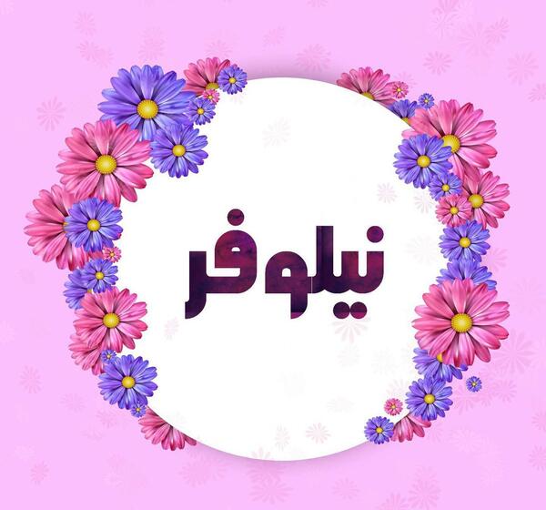 عکس نوشته نیلوفر جدید