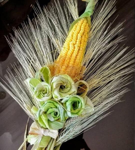 عکس گل ذرت