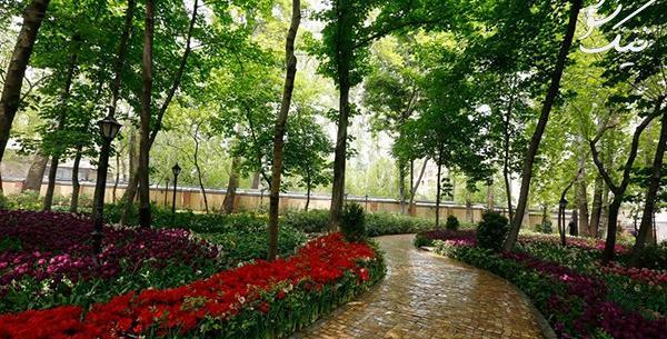 عکس ایده های باغ ایرانی