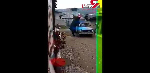 عکس گاو پشت نیسان