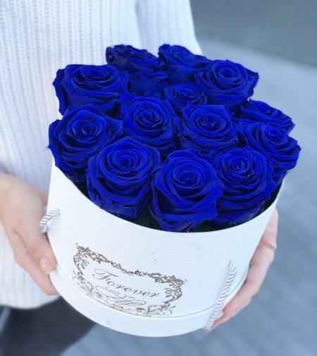 عکس گل آبی