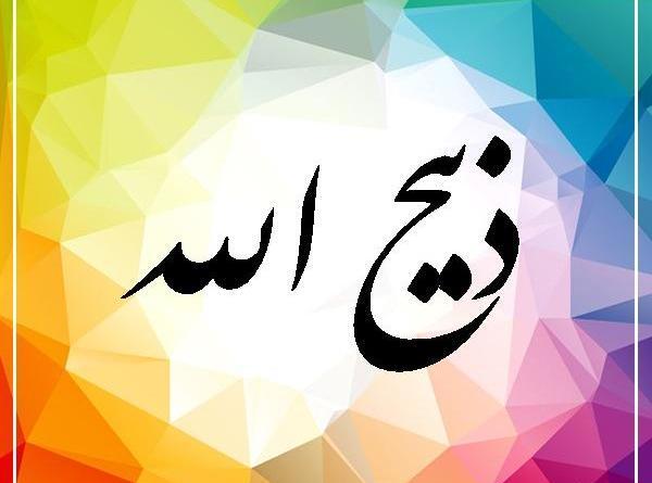عکس های ذبیح الله