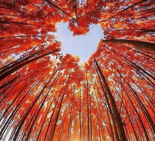 عکس هایی از طبیعت های رویایی