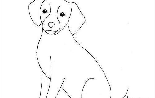 عکس حیوانات طراحی