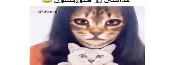 عکس خنده دار سگ و گربه