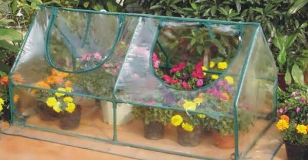 عکس ایده گلخانه خانگی