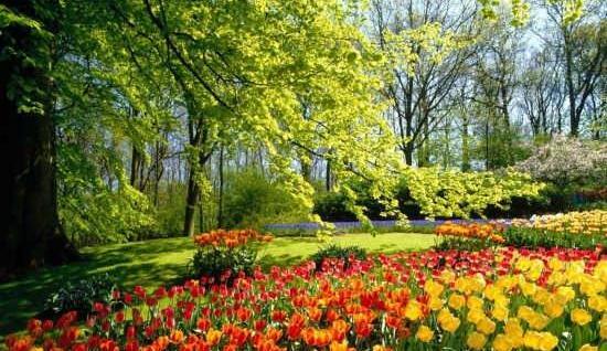 عکس منظره زیبا بهاری