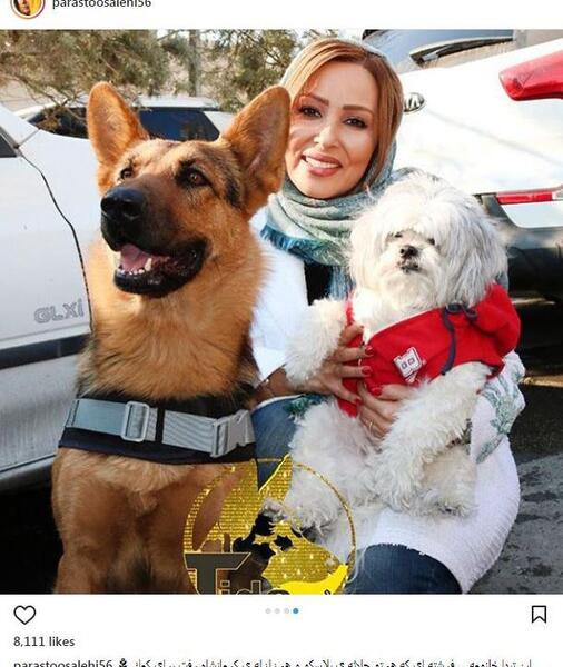 عکس رضا سگه