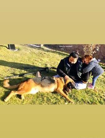عکس رضا سگه