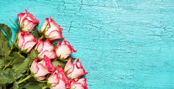 عکس گلهای زیبای فانتزی