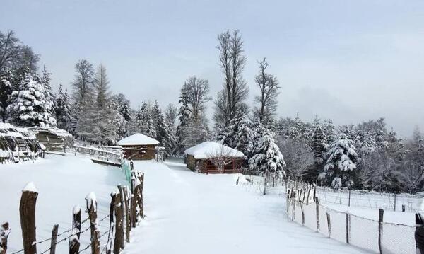 عکس منظره جدید