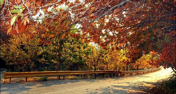 عکس زیبای طبیعت تهران