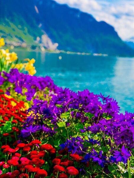عکس زیبا از طبیعت برای پروفایل