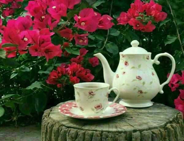 عکس زیبا از طبیعت برای پروفایل
