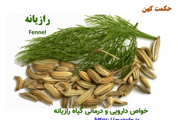 عکس نوشته رازیانه