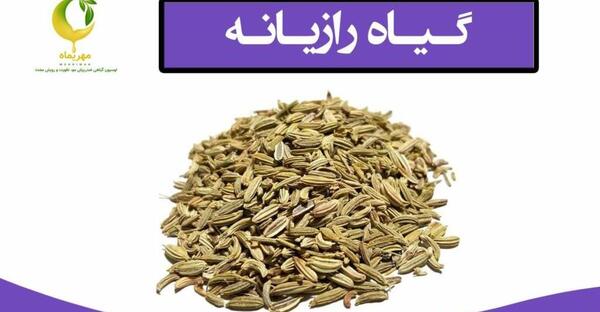 عکس نوشته رازیانه