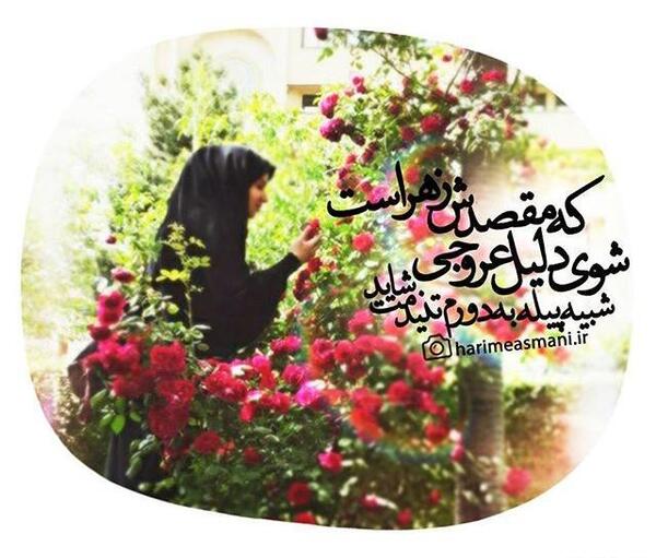 عکس نوشته زیبا چادر