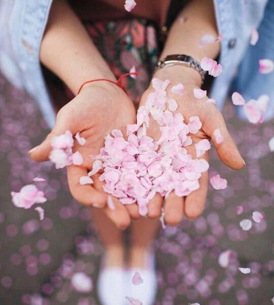 عکس ساده جدید