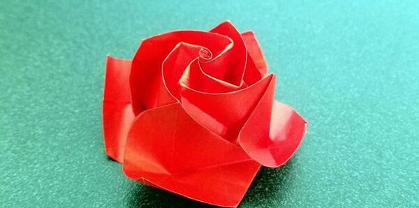 عکس گل رز کاغذی