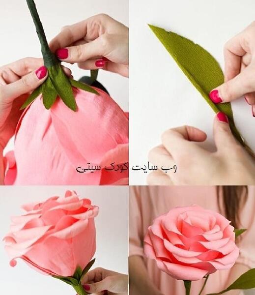 عکس گل رز کاغذی