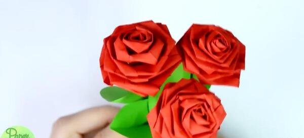 عکس گل رز کاغذی