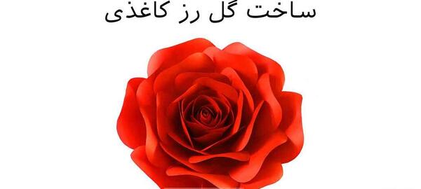 عکس گل رز کاغذی
