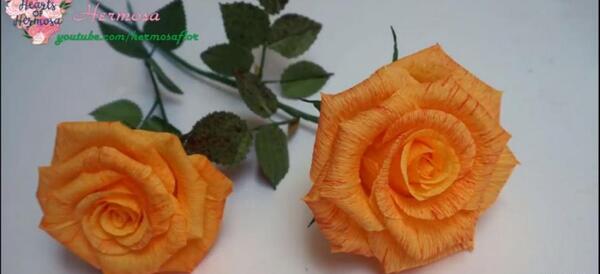 عکس گل رز کاغذی