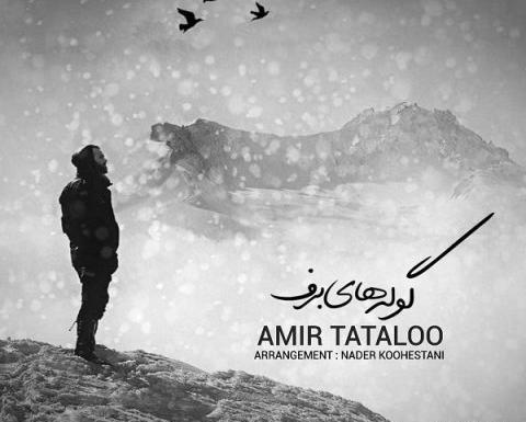 عکس تتلو در برف