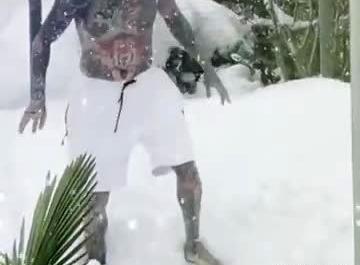 عکس تتلو در برف