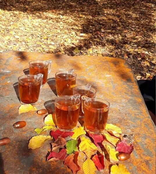 عکس چای پاییزی