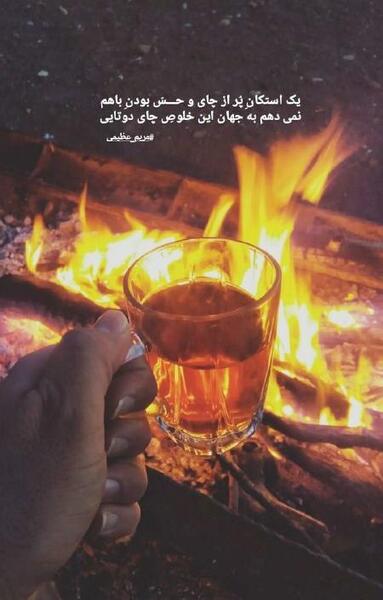 عکس چای پاییزی