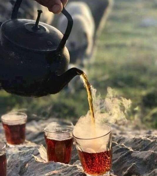 عکس چای پاییزی